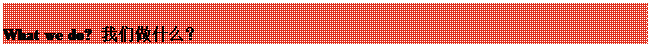 文本框:What we do? 我们做什么？
